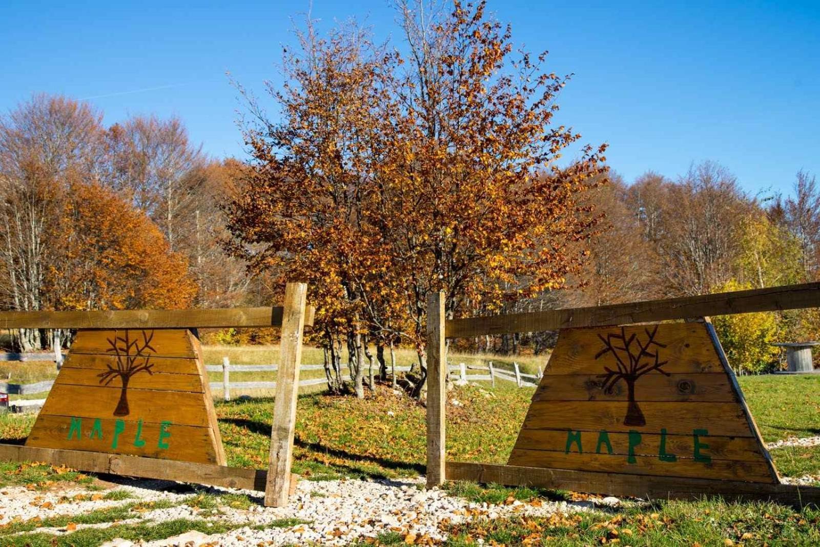Maple Bungalows Žabljak Dış mekan fotoğraf
