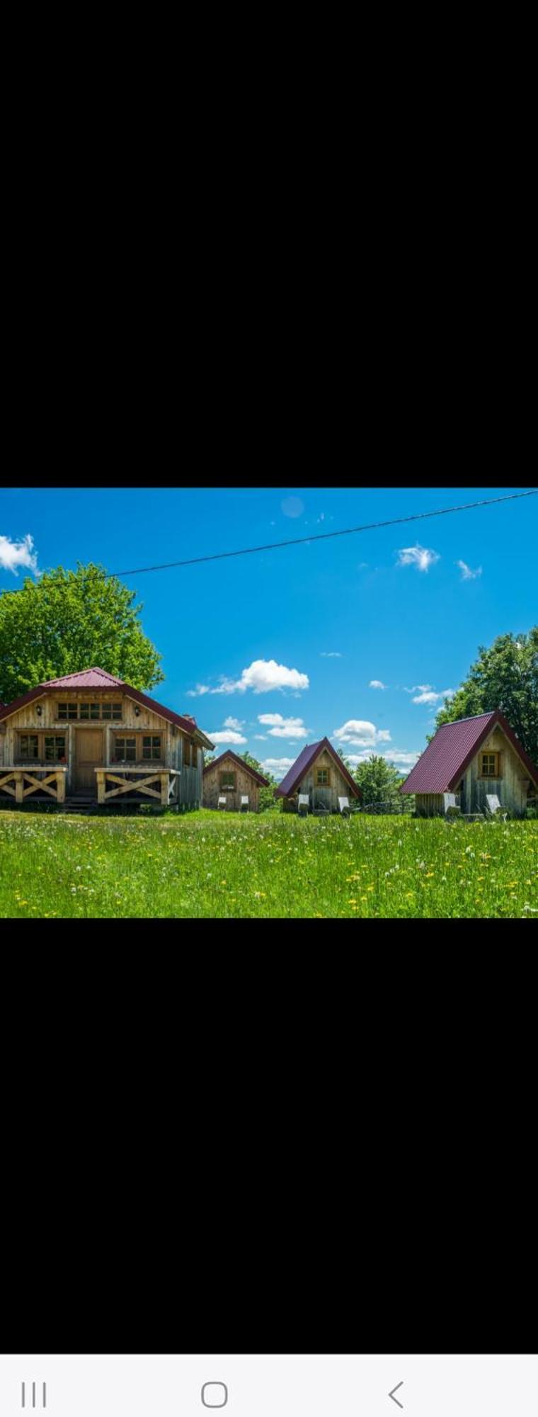 Maple Bungalows Žabljak Dış mekan fotoğraf
